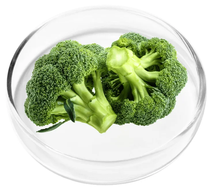 Diindolylmethane ingredient