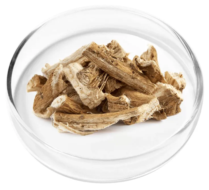 Sarsaparilla ingredient